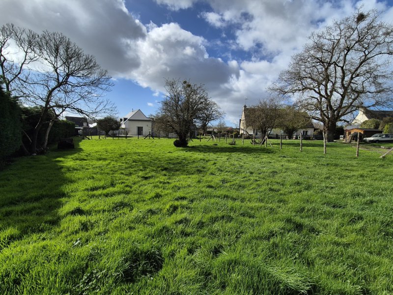 Terrain à vendre à Lauzach LAUZACH - Terrain à construire   1 147 m2 