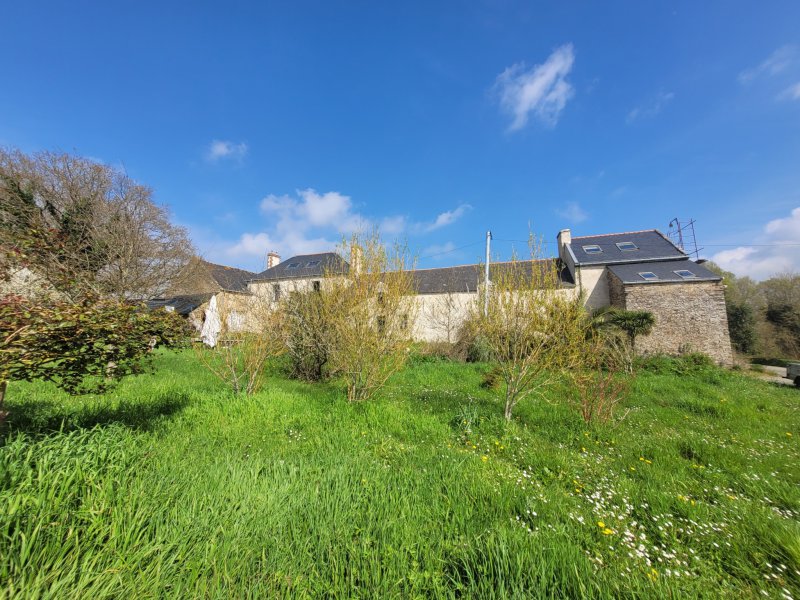 Maison à vendre à Ambon Propriété de 158m2 sur plus de 4.5ha de terres attenantes