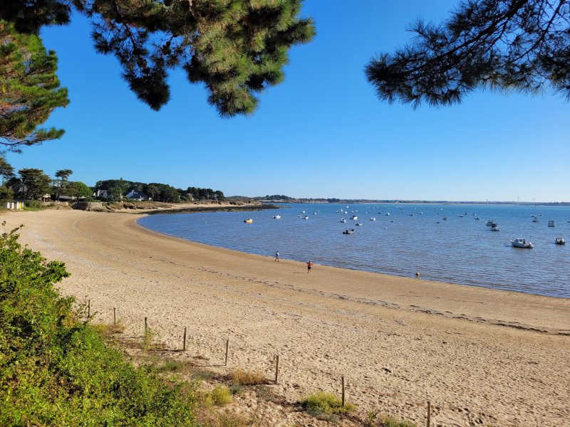 Maison à vendre à Damgan Kervoyal-Damgan à 100m de la plage maison 110m2 800m2 de ter